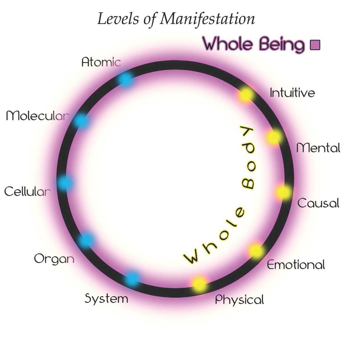 graphic of the levels of manifestation