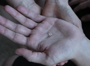 Diamond in client's hand during a session