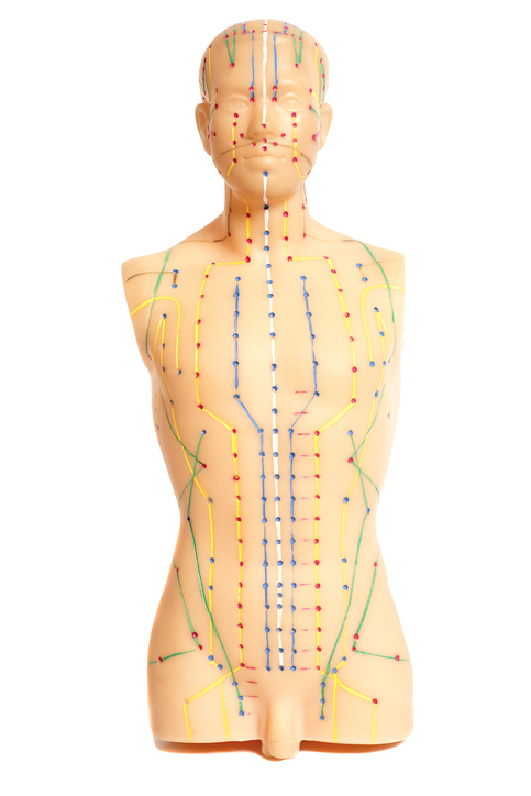 acupuncture meridians with central vessel in white