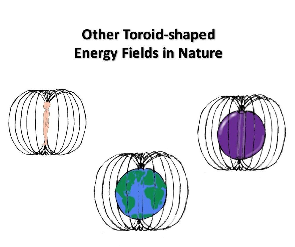 Torid-shaped energy fields